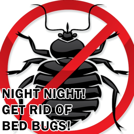 DON’T LET THE BED BUGS BITE!