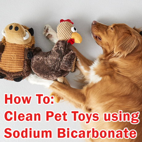 Clean Pet Toys