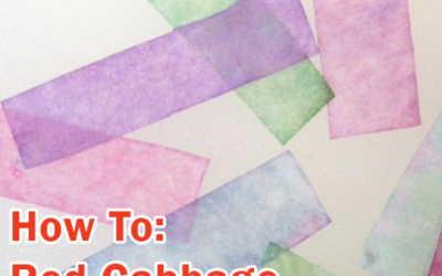 Make Red Cabbage pH Paper