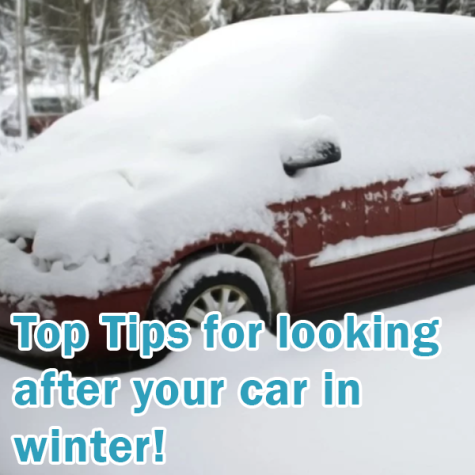 Winter Car Guide